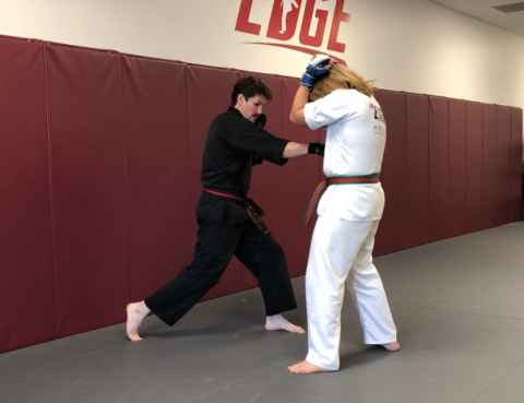 Training Tip Tuesday: Sparring Combinations